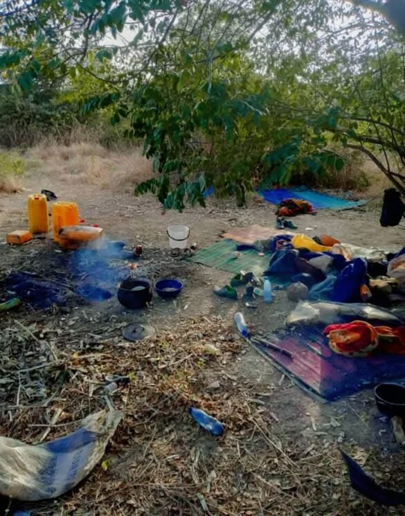 A blurred image symbolizing a disturbing incident involving bandits allegedly assaulting a young girl in a bush area, highlighting insecurity concerns in Nigeria.